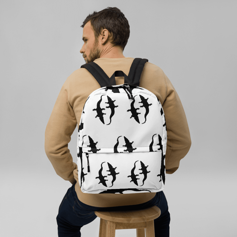 travel backpack