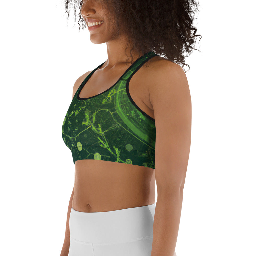 Stay Dry, Stay Focused: Moisture-Wicking Bra